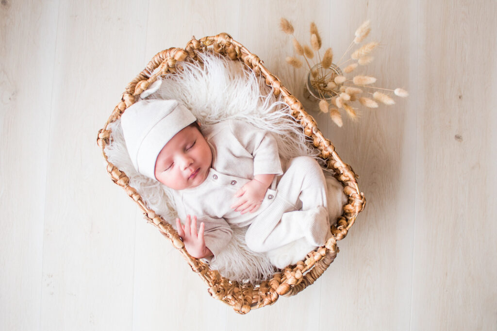 baby photoshoot in target basket with bunny tail dried flowers coomera qld