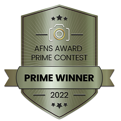 AFNS Award Prime contest Prime Winner